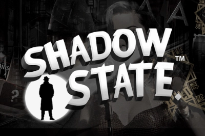 13138 shadow state
